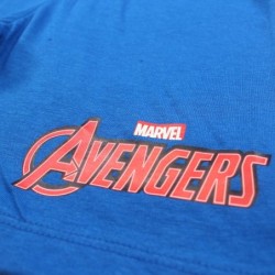 Ensemble Avengers